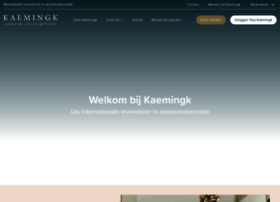 kaemingk.com