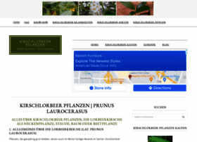 kirschlorbeer-pflanzen.de
