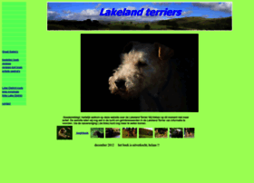 lakeland-terrier.nl