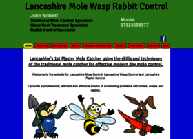 lancashire-mole-wasp-rabbit-control.co.uk