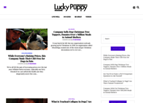 luckypuppymag.com