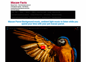 macaw-facts.com