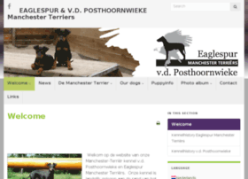 manchester-terrier.nl