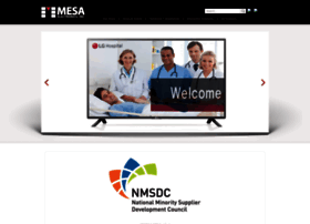mesaelectronics.com