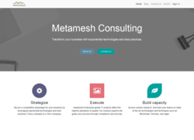 metameshgroup.com
