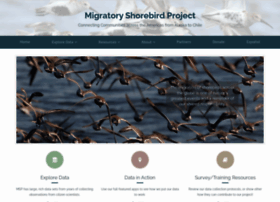 migratoryshorebirdproject.org