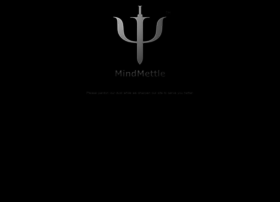 mindmettle.com