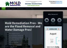 moldremediation.pro