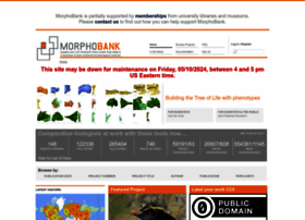 morphobank.org