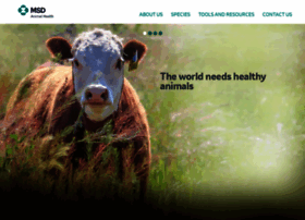 msd-animal-health.com.au