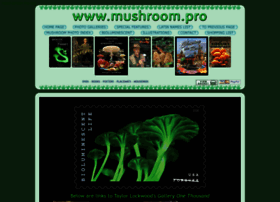 mushroom.pro