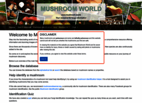mushroom.world