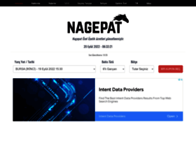 nagepat.com
