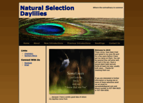 naturalselectiondaylilies.com