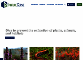 natureserve.org