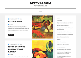 netevin.com