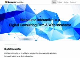 netsourceinteractive.com