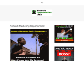 networkopportunities.net