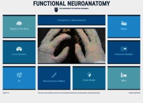 neuroanatomy.ca