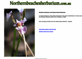 northernbeachesherbarium.com.au