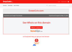 oceancctv.com