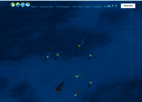 oceanecoadventures.com.au