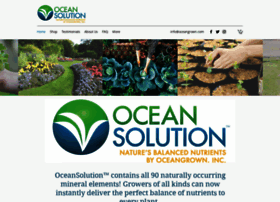 oceansolution.com