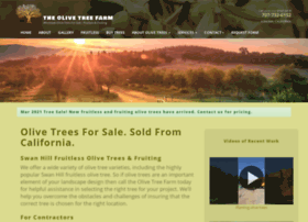 olivetreefarm.com