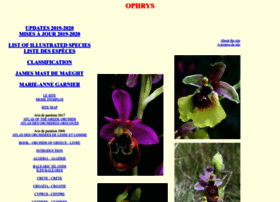 ophrys-genus.be