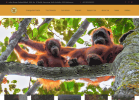 orangutancentre.org