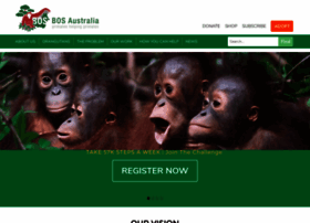 orangutans.com.au