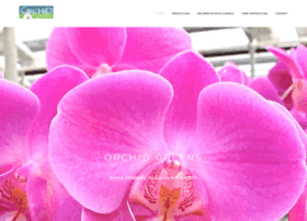 orchidgreens.com