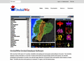 orchidwiz.com