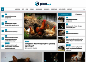 paluch.org.pl
