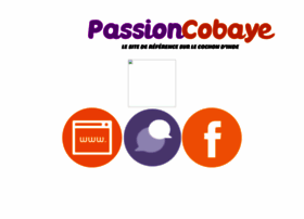 passioncobaye.com