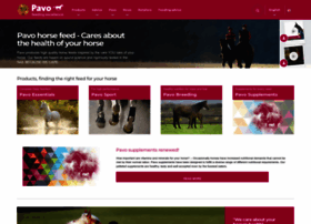 pavohorses.co.uk