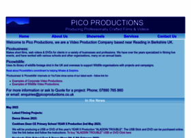 picoproductions.co.uk