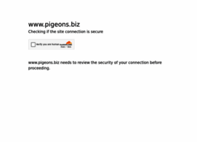 pigeons.biz