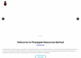 pineappleresources.com.my