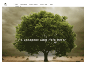 polyphagous-shot-hole-borer.co.za