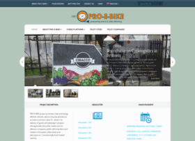pro-e-bike.org