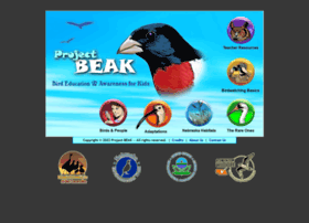 projectbeak.org