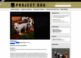 projectdog.co.za