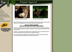 projectsquirrel.org