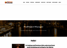 proprojectmanager.com