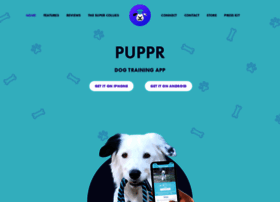puppr.app