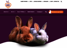 rabbitwelfare.co.uk
