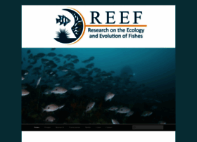 reef.edu.au