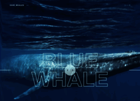 save-whales.com