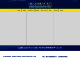 scaleblaster.com